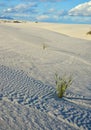 Gypsum sand dunes, White Sands National Monument, New Mexico, USA Royalty Free Stock Photo