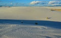 Gypsum sand dunes, White Sands National Monument, New Mexico, USA Royalty Free Stock Photo