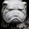 Gypsum sculpture statue of a dog pug bulldog