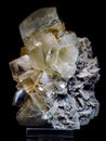 Gypsum selenite from clay deposits Poland