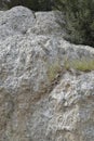 Gypsum Selenite Crystal Flow