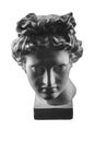 Gypsum statue of Apollo`s head