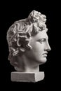 Gypsum statue of Apollo`s head