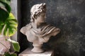 Gypsum statue of a bust of God Apollo on a gray textured background by the window light Royalty Free Stock Photo