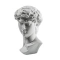 Gypsum statue of David`s head. Michelangelo`s David statue plaster copy isolated on white background. Ancient greek sculpture,