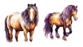 Gypsy Horse, watercolor clipart illustration with isolated background