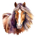 Gypsy Horse, watercolor clipart illustration with isolated background