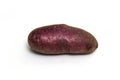 Gypsy potatoes are an amateur potato variety Solanum tuberosum for table use. Depending on the climatic zone of growth, it ripens Royalty Free Stock Photo