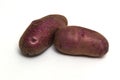 Gypsy potatoes are an amateur potato variety Solanum tuberosum for table use. Depending on the climatic zone of growth, it ripens Royalty Free Stock Photo