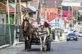 Gypsy in Romania doing his chores by horse and carriage