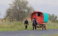 Gypsy wagon in the French Camargue