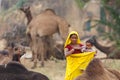 Gypsy women with their traditional dress carry her child in Pushkar streets, India