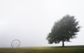 The Gyre sculpture by Thomas Sayre in the fog with a lone tree, in the museum park at the North Carolina Museum of Art in Raleigh