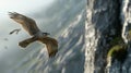 Gyrfalcon is flying in the air hunting for prey generated by AI.