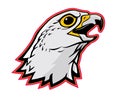 Gyrfalcon Mascot Head, Largest Falcon Bird Royalty Free Stock Photo