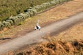 Gyrocopter is landing Royalty Free Stock Photo