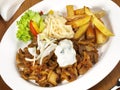 Gyros with Coleslaw and French Fries and Onions Royalty Free Stock Photo