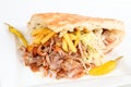 Gyros pita with french fries Royalty Free Stock Photo