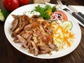 Gyros Plate with Coleslaw and Onions Royalty Free Stock Photo