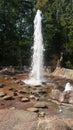 GYSER AT NC ZOO Royalty Free Stock Photo