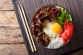 Gyudon beef with rice, egg and onion closeup in a bowl on the ta