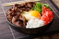 Gyudon beef with rice, egg and onion closeup in a bowl on the ta