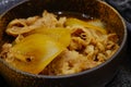 Gyudon bowl of rice topped with sliced beef Royalty Free Stock Photo