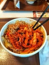 gyudon japanese food. Below there is rice and on top is sprinkled with beef and vegetables Royalty Free Stock Photo