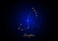 Scorpio zodiac constellations sign on beautiful starry sky with galaxy and space behind. Gold Scorpio horoscope symbols sign