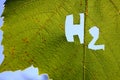 H2, the chemical symbol for hydrogen, on a green vine leaf. Hydrogen fuel cells, carbon neutral, and clean fuel concept Royalty Free Stock Photo