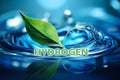 H2 Green Hydrogen, Green plant on water. Ecology, biology and biochemistry concept of renewable fuel green energy