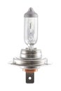 H7 halogen car light bulb Royalty Free Stock Photo