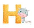 H letter and cute hippo baby animal. Zoo alphabet for children education, home or kindergarten decor cartoon vector Royalty Free Stock Photo