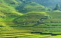 Terraced rice fields and traditional houses of the H`Mong ethnic people Royalty Free Stock Photo