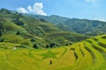 Terraced rice fields and traditional houses of the H`Mong ethnic people Royalty Free Stock Photo