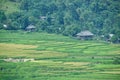 Terraced rice fields and traditional houses of the H`Mong ethnic people Royalty Free Stock Photo