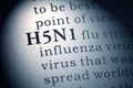 Definition of the word H5N1 flu