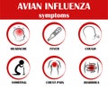 H7N9 Virus, Avian Influenza symptoms. Vector illustration