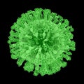 H1N1 Virus