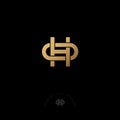 H and O letters. H and O monogram consist of twisted gold lines, isolated on a dark background.