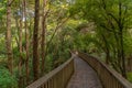 A. H. Reed Memorial Kauri Park At Whangarei, New Zealand