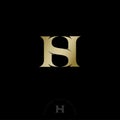 H and S in gold letters. H, S Monogram illusory. Web, UI icon.