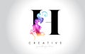 H Vibrant Creative Leter Logo Design with Colorful Smoke Ink Flo Royalty Free Stock Photo