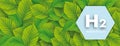 H2 Wasserstoff Green Beech Leaves Hexagon Header Royalty Free Stock Photo