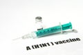 H1N1 - syringe and vaccine Royalty Free Stock Photo