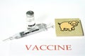 H1N1 - syringe and vaccine Royalty Free Stock Photo