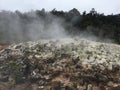 Ha`akulamanu Sulfur Banks in Hawaii Volcanoes National Park on Big Island, Hawaii.