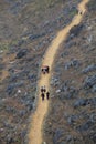 Hmong residents walking on a small path on the side of a mountain