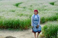 Ha Giang / Vietnam - 31/10/2017: Local Vietnamese woman in traditional clothes standing in a field of white flowers in the North