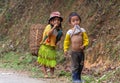 Hmong nomadic children working in Vietnam Royalty Free Stock Photo